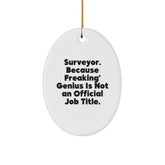 Funny Surveyor Gifts for Men, Unique Oval Ornament for Surveyor, Christmas Unique Gifts from Men, Oval Shaped Decorative Accent - Image 1
